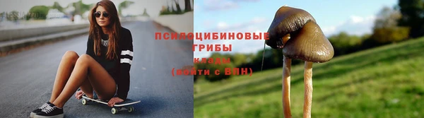 a pvp Алексин